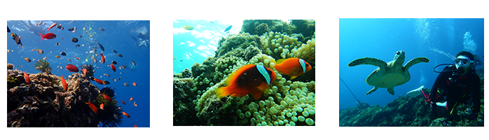 インスタグラム イメージ1