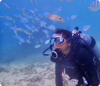 ビーチ体験ダイビング