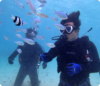 ビーチ体験ダイビング