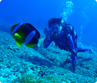 ボート体験ダイビング