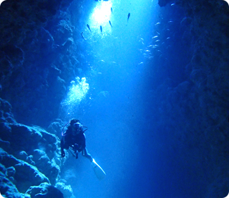 ファンダイビング