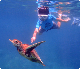 シュノーケリング